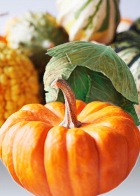 ��� ������� �������� ��� ��������