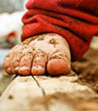 ������ ����� ������ ���� �������