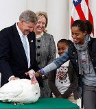 ������� ��������� �� ����� ������ ����� 