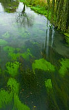 ������������ ��-�� ����� �� ����