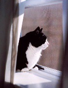 ��� ������ ����� � ���������� ����� ������?