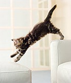 ������: ������ ����� �����, �� ����� ����� ������ 