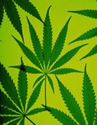 ����� ������ ������������ ��������������� ����������