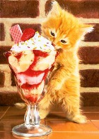 ��� ��������� ����� ������?