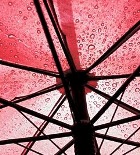 ��������� ����� ��� ��������� ������� ��� �����