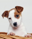 ������ ���������� ��� �� ������ �������!