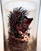 ���� ����� ������ � ������