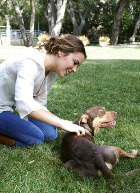 ����� ������ � ������� ���� ������-��������