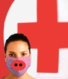 ����� ������� ������ - ������� ���������������� ����� ����