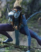 �������������� ���������� �� �������� 