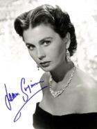 ������ ������� ���� �������