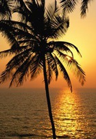 �������� �� ������ �� ���?