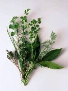 ������ ������� �������� ��� ������������� ������ �����