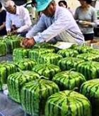 ��� ������ ����� ������ �����������