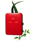 ������������ ���������� �����