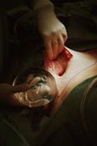 ������-������� �� ��������� ������ ������� ������ �����