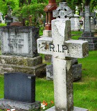 "���� ����� �������"