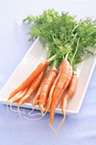 ��� �������� �� ����� �������