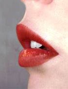 ���� ������ �� ����� �������