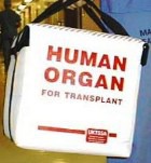 ��������� ���������� ��������� �������� ������ ����� ������ 