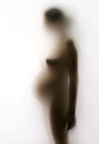 ���� �����������