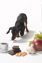 50 ������� �������� ������� ������ � �����