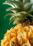 ���������� ���������� �� ������ �����������