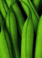 ������ �� �������� ������