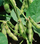 ��� ��� ��������� � ������������� ��������!