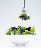 ��������������� ����� �������� �������� ������