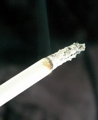 �������� ����� ����������� �� �������?