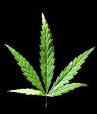 � �������� ��������� ��������� �������� ���������