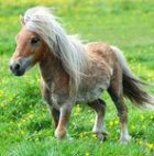 �������� ������ �������� � �����