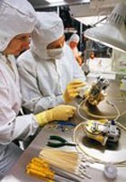 ������������� ������ �������� ����� 3 ����