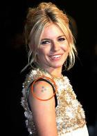 ������� ���������� ����