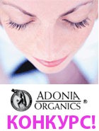 ������� ���� ��������-������ ��������: ��������� ��������� ������������ �����!