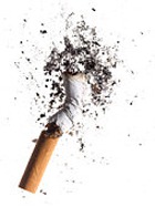 ������� �������� ���������� ���������� �������