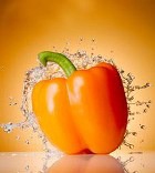 ����� ��������, ��� ������!