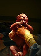 �������� ���� ������� � ������ ��������