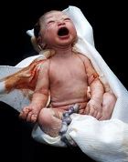 ������������� ��������� �������� ������ ��� ������