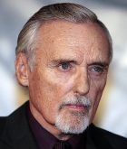 ���� ������ ������