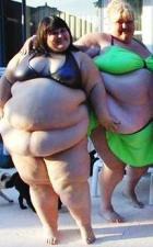  � ������ ������� ����� ��������� 