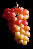 Дарящий память виноград
