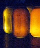 Мёд защитит глаза от воспалений