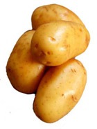 Ученые обогатили картофель белком 