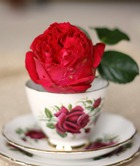 Забытый чай из лепестков роз