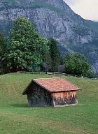 ������ ���� ������? ����������� � ����!