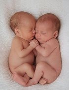Хотите долго жить – рожайте близнецов