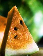 � ������� ������� ����� �����