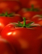 В Италии создали помидор, который помогает не стареть